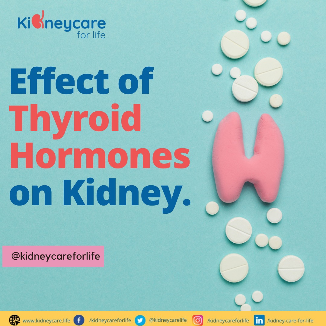 Thyroid Hormone and Our Kidney