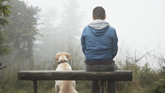 This is a sample blog post