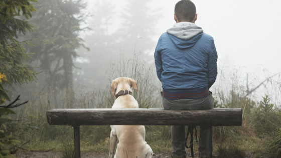 This is a sample blog post 2