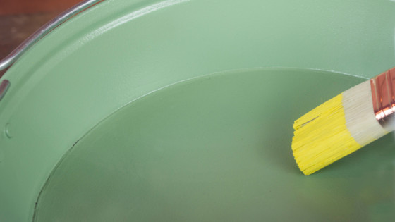 The Magic of Full Spectrum Paint