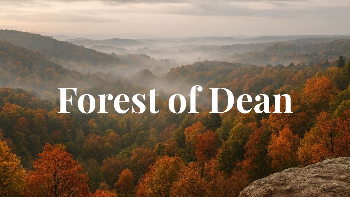 The Forest That Refuses to Behave — Royal Forest of Dean Lore & History