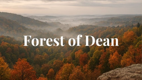 The Forest That Refuses to Behave — Royal Forest of Dean Lore & History