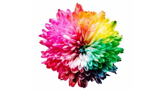 #98 Varför en diagnos aldrig berättar hela historien