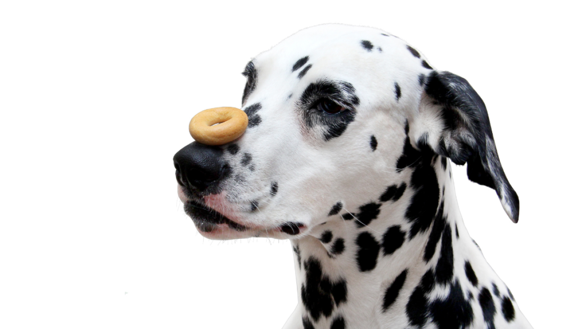 When Will Power Isn't Enough