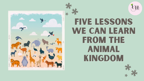 Five lessons we can learn from the animal kingdom