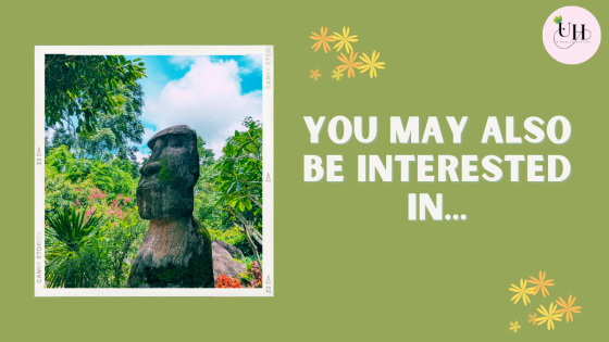 You may also be interested in...