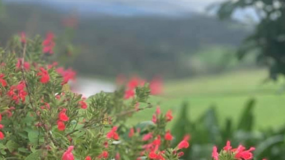 "Children need to fear their parents, or they'll run rings around them!" - Yeah, NO. Let's discuss. 