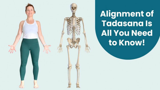 The Alignment of Tadasana Is All You Need to Know!