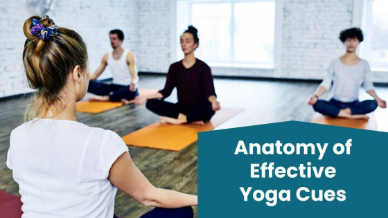 The Anatomy of Effective Yoga Cues
