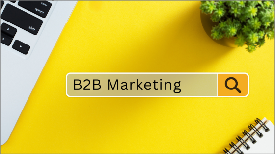 B2B Audience: How Lead Magnets Improve Your Pipeline
