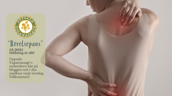 #2/2025 Hållning är allt!