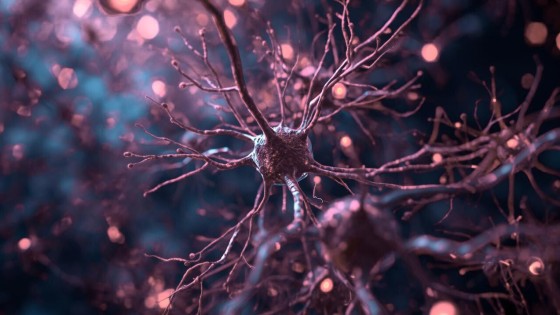 Neuroplasticity and the Gupta Program