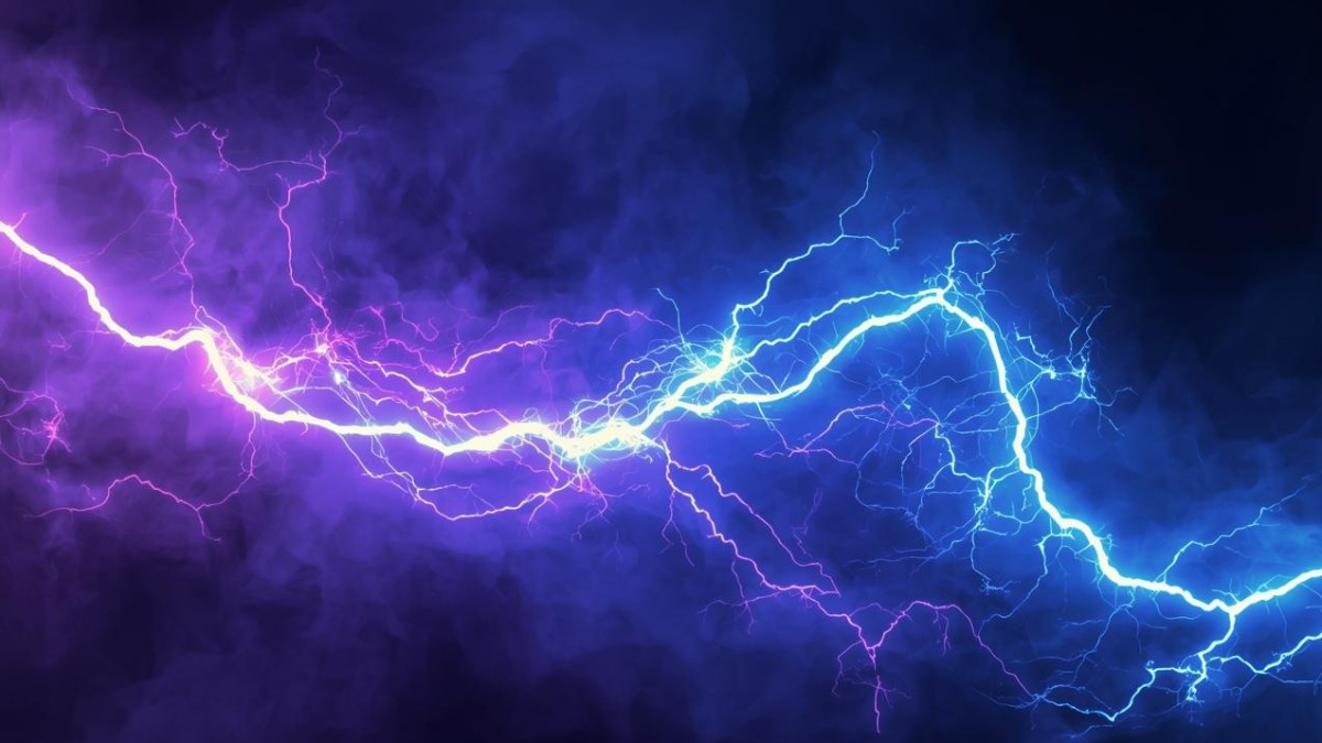 Parasympathetic Nervous System