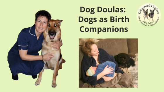 Dog Doulas