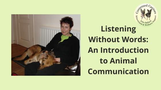 Listening Without Words