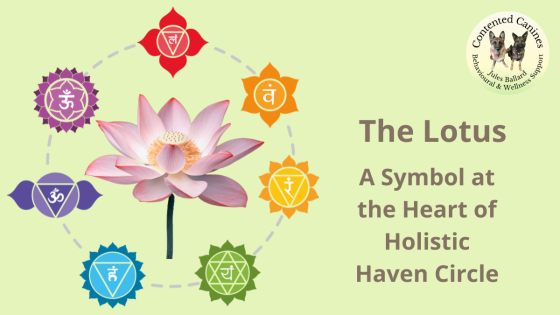 The Lotus - The Symbol Behind Holistic Haven Circle