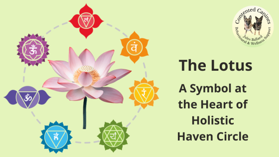 The Lotus - The Symbol Behind Holistic Haven Circle