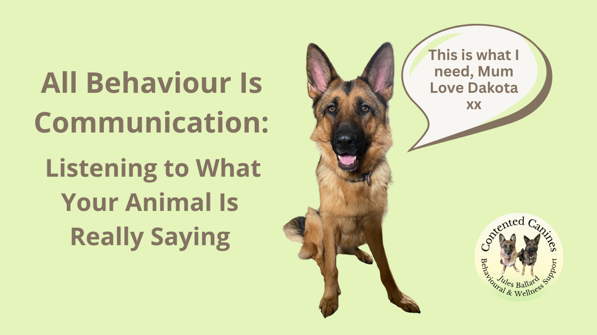All Behaviour is Communication