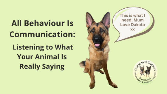 All Behaviour is Communication