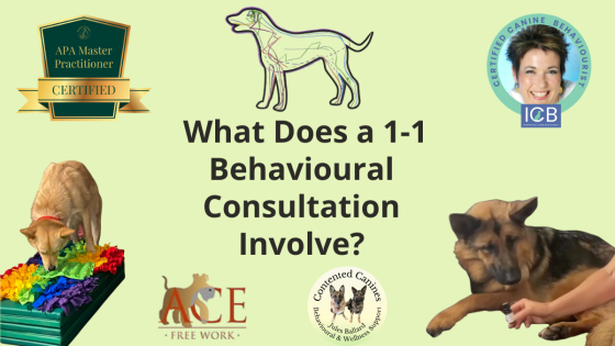 What does a 1-1 behavioural consultation involve?