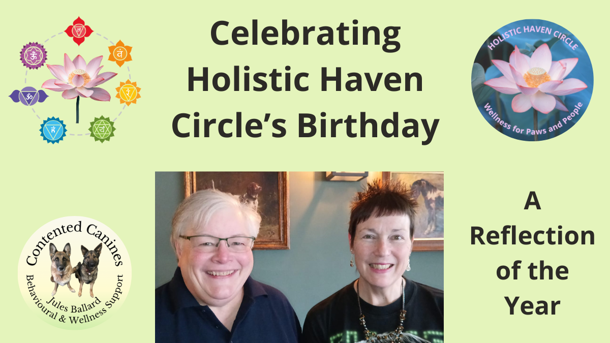 Celebrating Holistic Haven Circle's First Birthday