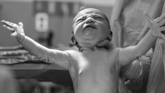 Part 3: Breaking the Distress Cycle:  How Survival Styles Show Up in the Body