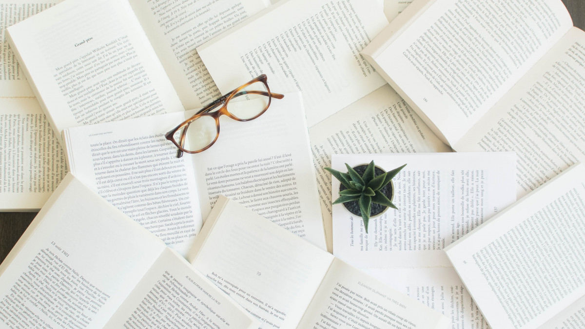 Understanding Masculine and Feminine in French French Noun Gender Rules