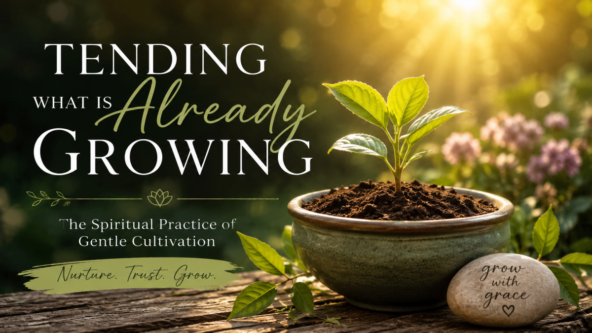 Tending What Is Already Growing: The Spiritual Practice of Gentle Cultivation