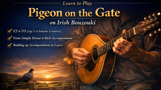 How To Accompany Reels on Irish Bouzouki - Pigeon On The Gate