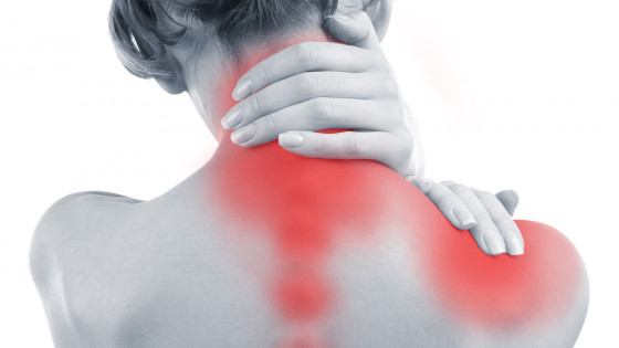 The Calcium Shell Chronic Dis-ease Connection