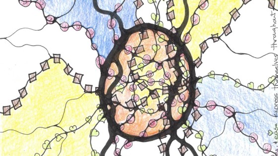 When Proof Is Not the Same as Truth