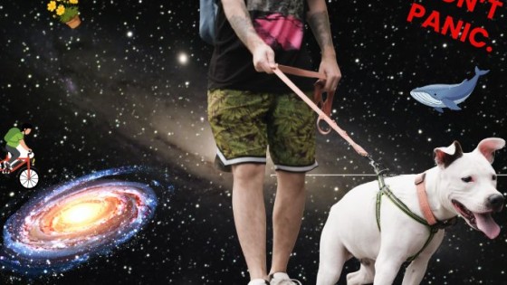 The hitchhikers guide to reactivity