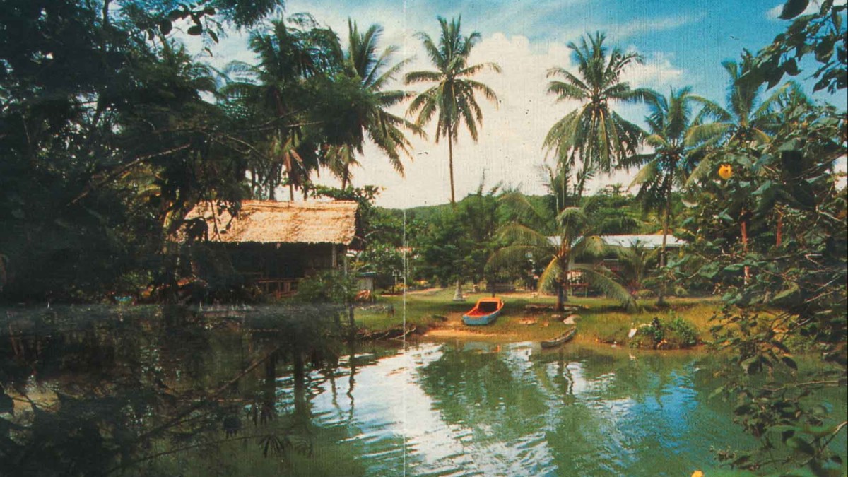 Land of Coconut Trees: Prophetic Word