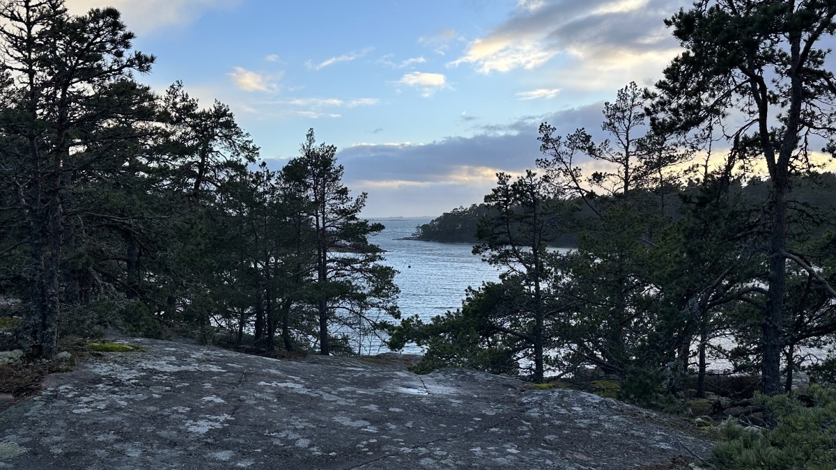 Naturen som ett Ctrl Alt Delete