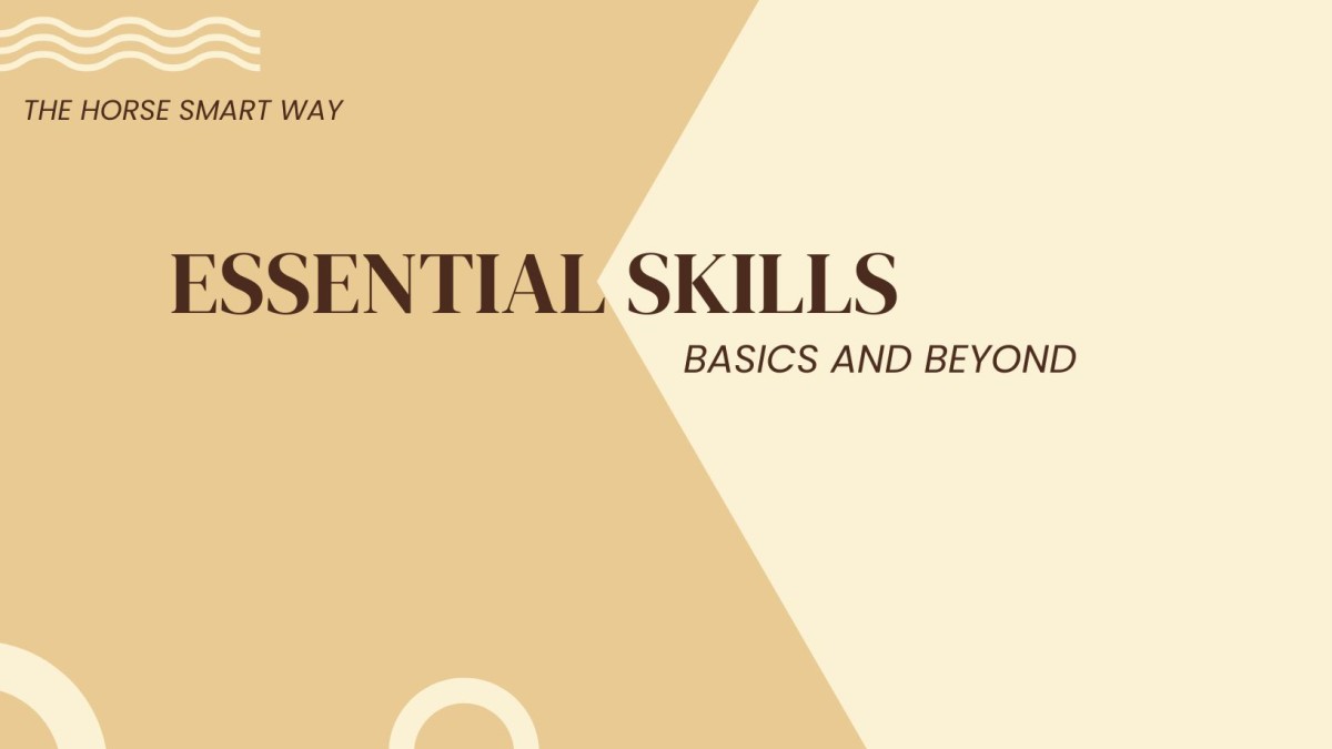 The Number Way to Excell