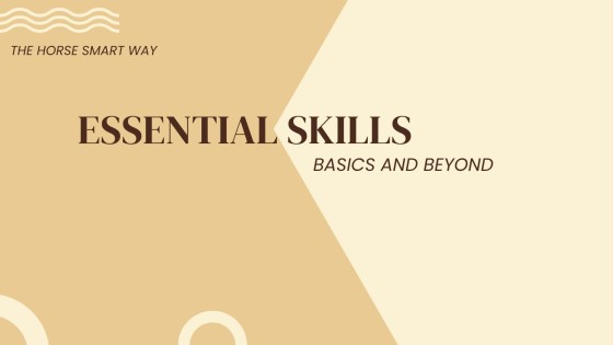 It's Way More Than ... Solving Mare-day problems