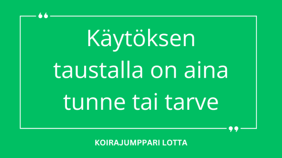 Toisen roska on toisen aarre