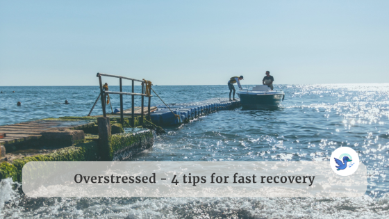Overstressed – 4 Tips for Fast Recovery