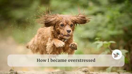 How I Became Overstressed