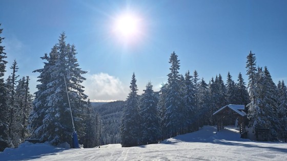 Fasta för ett långt, lyckligt och friskt liv – att våga ta bort för att leva mer