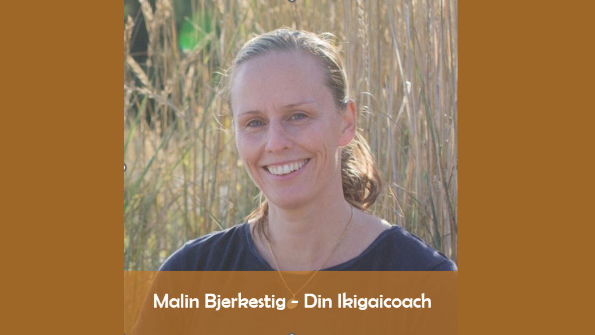 Vad kostar egentligen dina val?