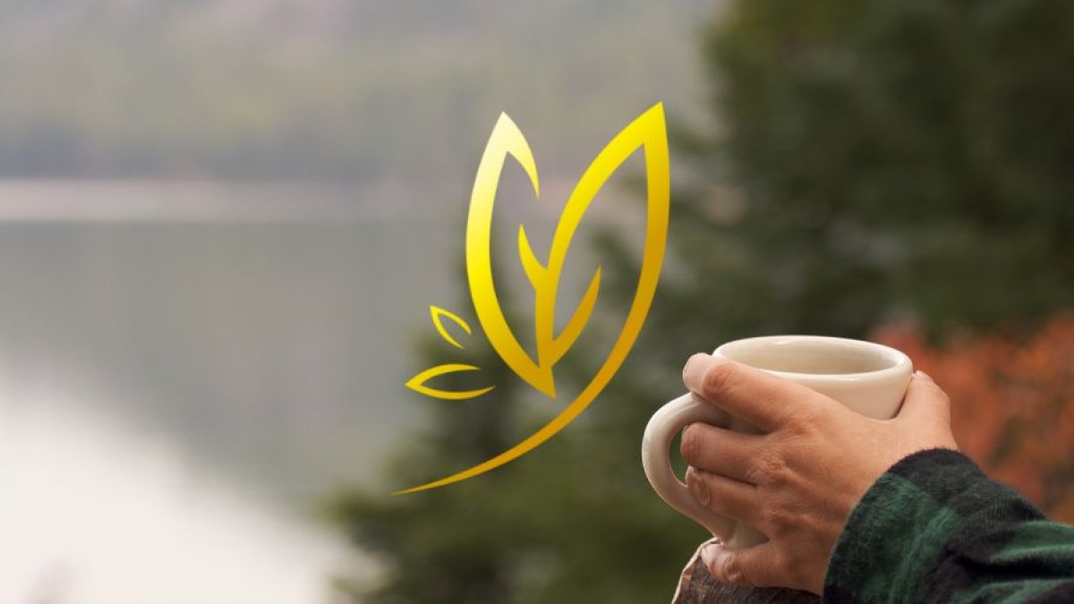 ✨Hur du hittar din energi – och använder den rätt