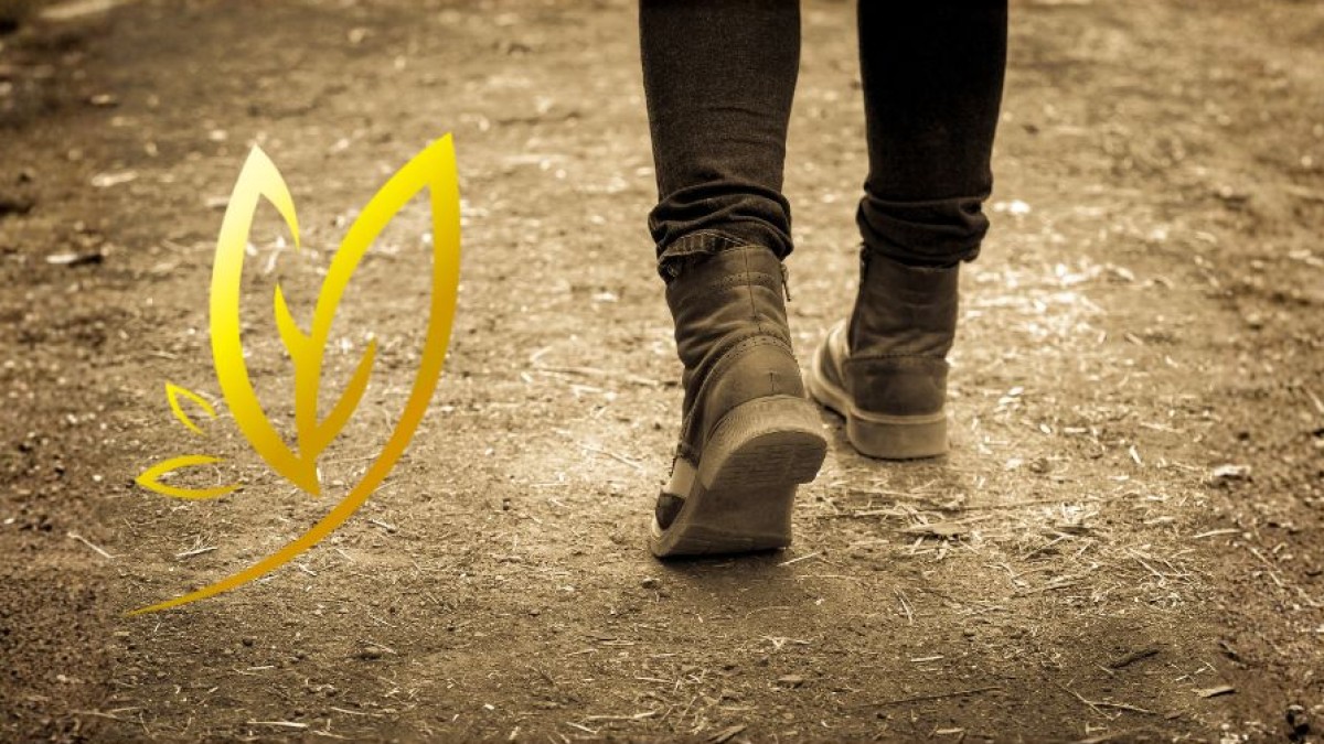 ✨Hur du hanterar motstånd när förändring känns tung