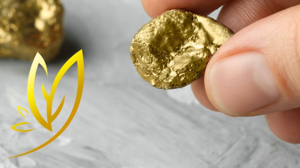 ✨GULDKORN: En enkel modell för att skapa klarhet i ditt liv