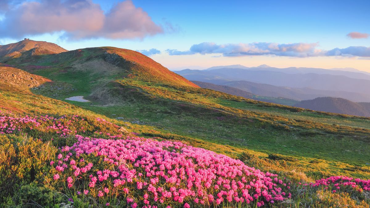 Awakening the Wisdom of Air