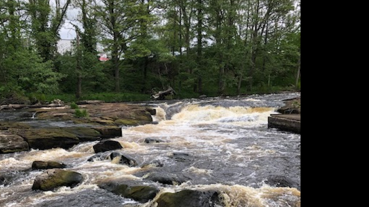 Hur står det till med ditt glymfatiska system?