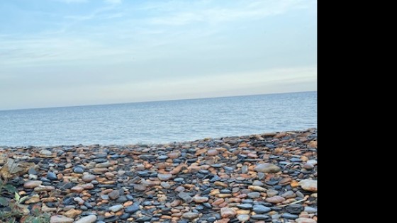 The art of letting go – konsten att släppa taget