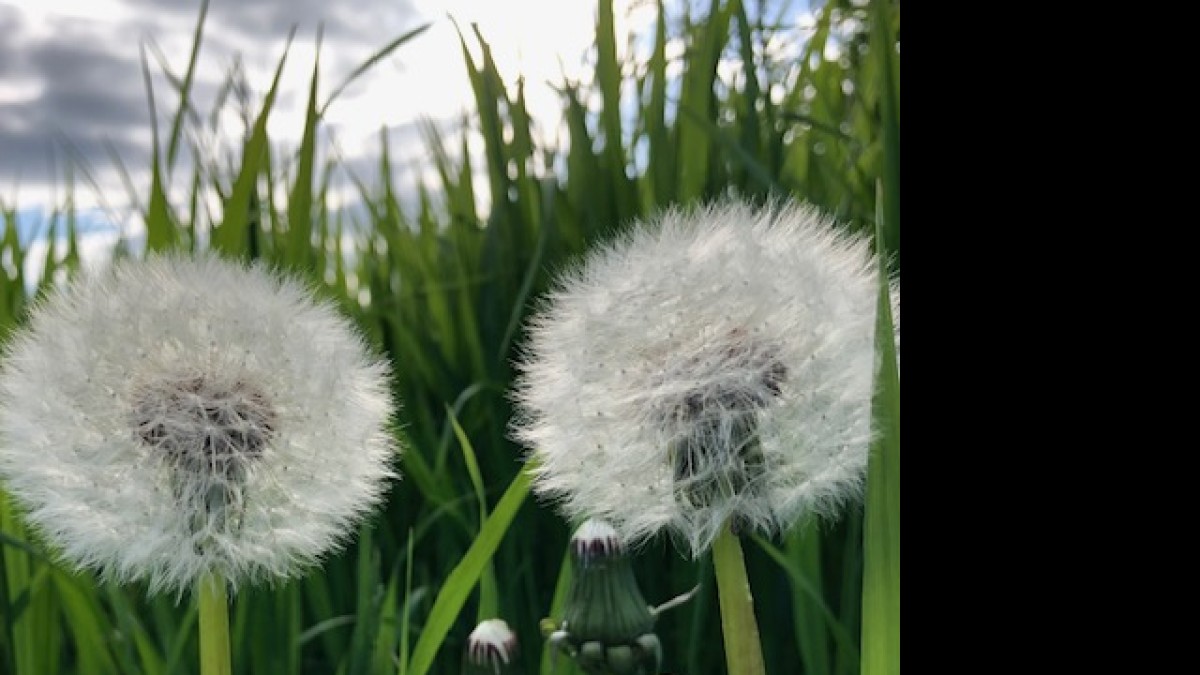 Vad är egenvård egentligen, när prestation och effektivitet är som en drog?