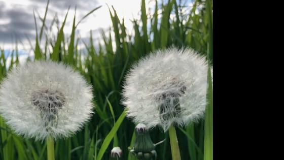 Vad är egenvård egentligen, när prestation och effektivitet är som en drog?