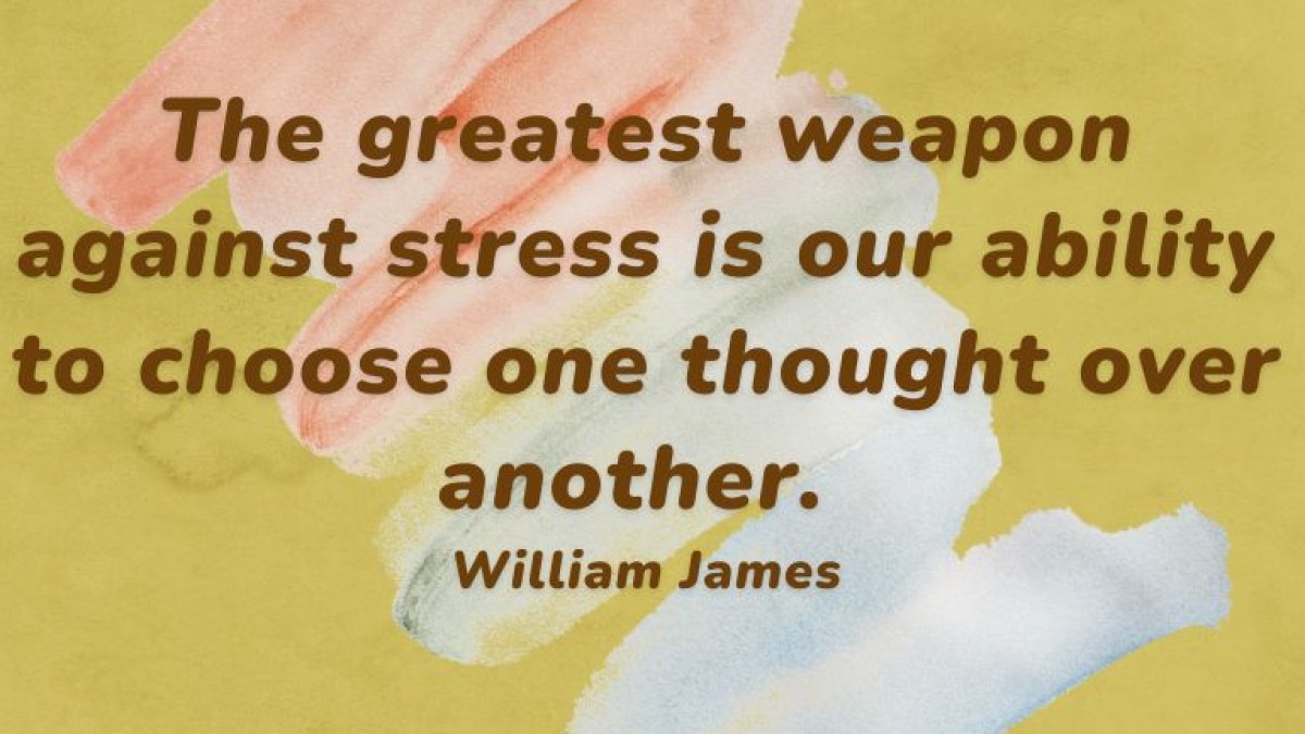 Embracing the Journey: Finding Balance, Grounding, and Gratitude